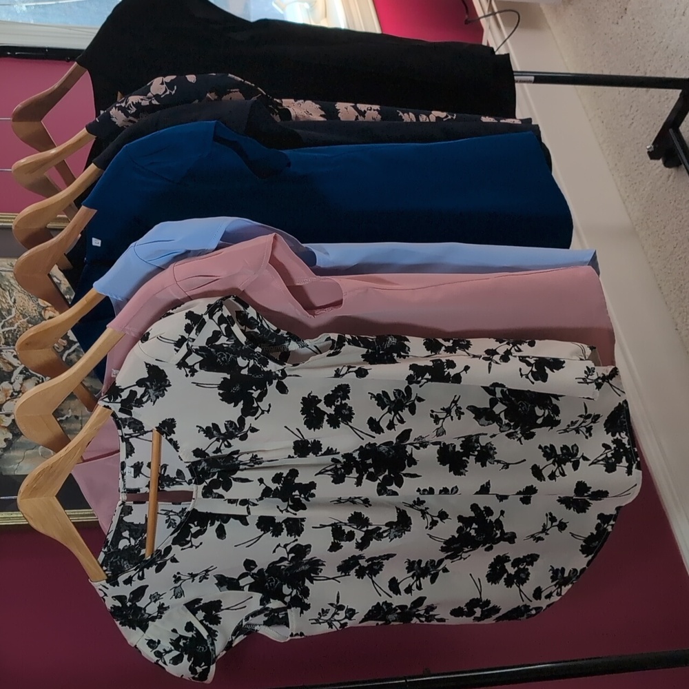 *DONATED* Pleated Chiffon Blouses, Petal Cap Sleeves, Group of 7, Lg